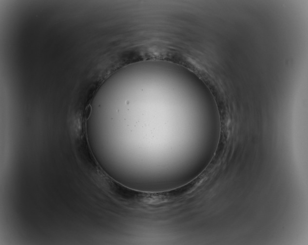 X0000088620709200705251241