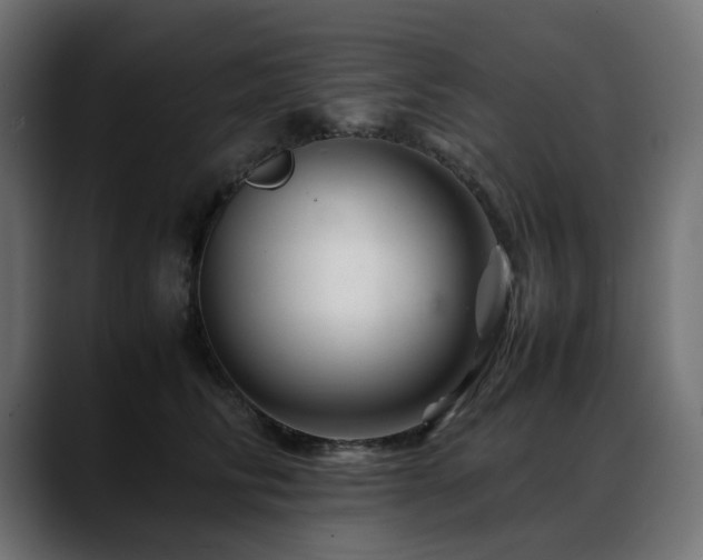 X0000088620710200705251241