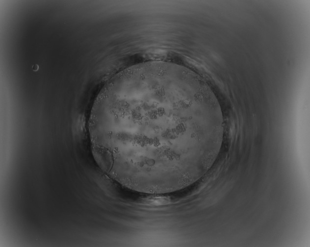X0000088620711200705251241