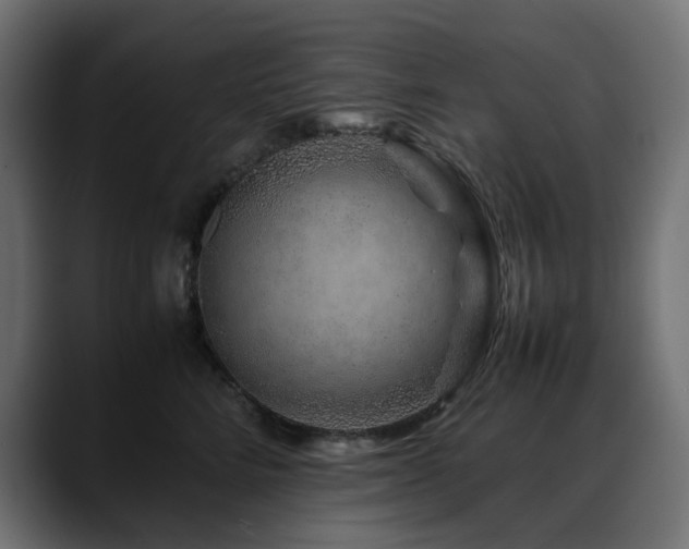 X0000088620712200705251241