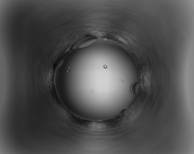X0000088620714200705251241