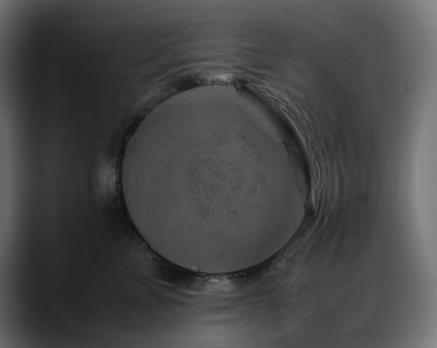 X0000088620715200705251241