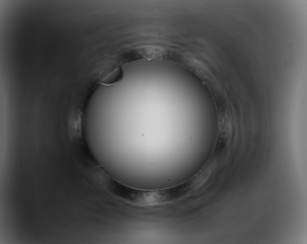 X0000088620717200705251241