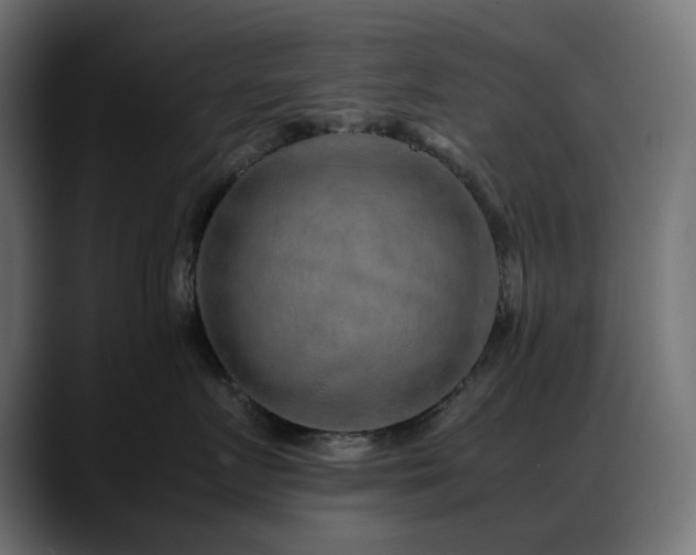 X0000088620719200705251241