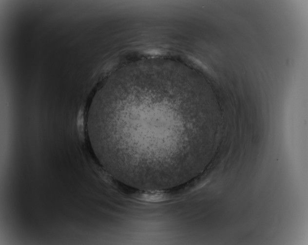X0000088620720200705251241