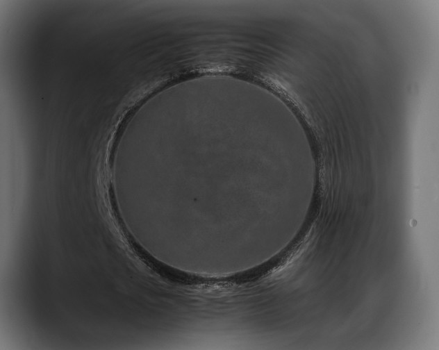 X0000088620721200705251240