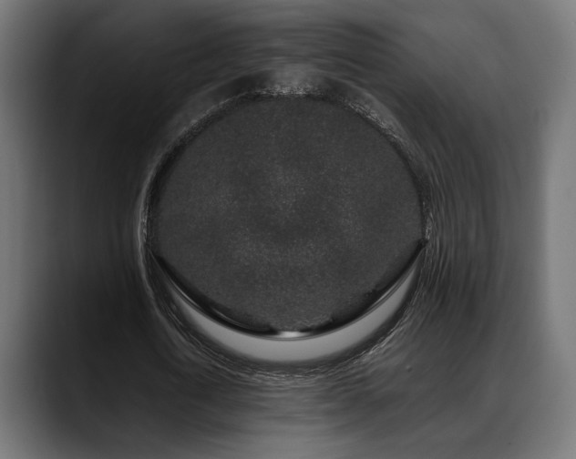X0000088620722200705251240