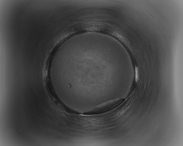 X0000088620723200705251240