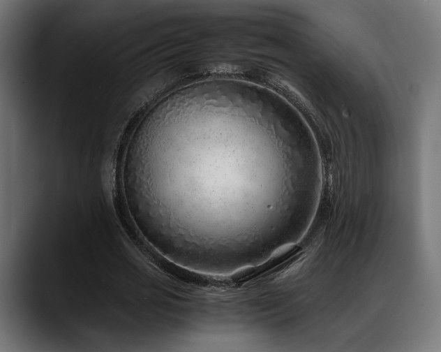 X0000088620725200705251240