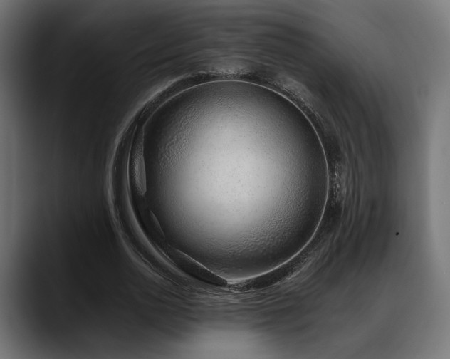 X0000088620726200705251240