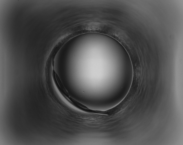 X0000088620727200705251240