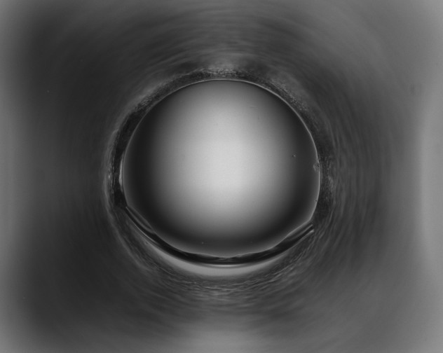 X0000088620728200705251240