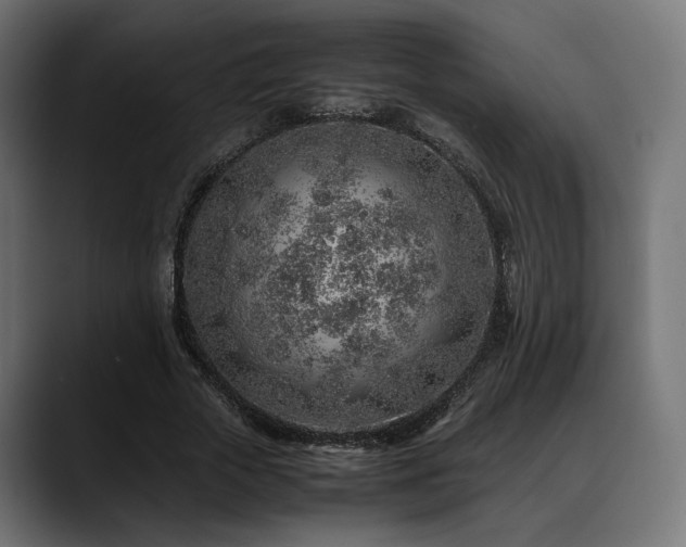 X0000088620729200705251240