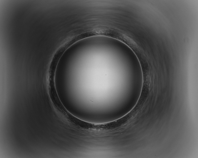 X0000088620730200705251240