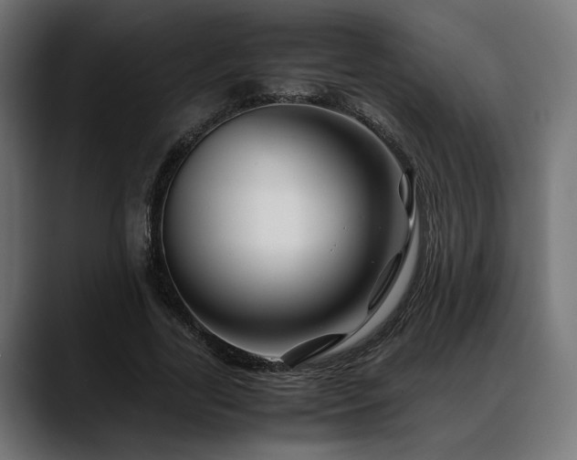 X0000088620731200705251241