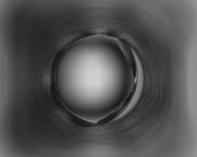 X0000088620732200705251241