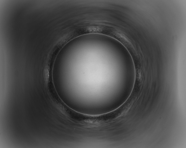 X0000088620733200705251241
