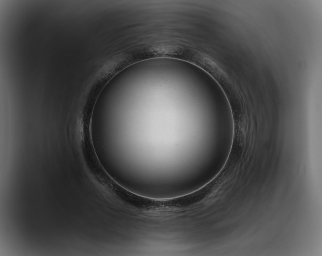 X0000088620734200705251241