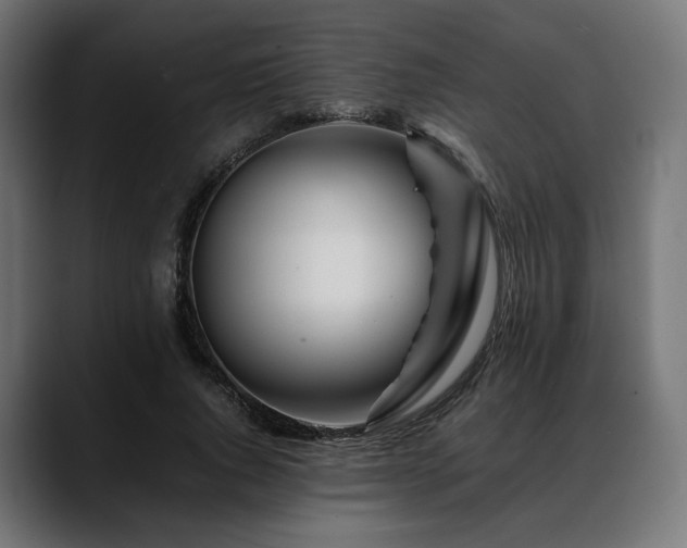 X0000088620736200705251241