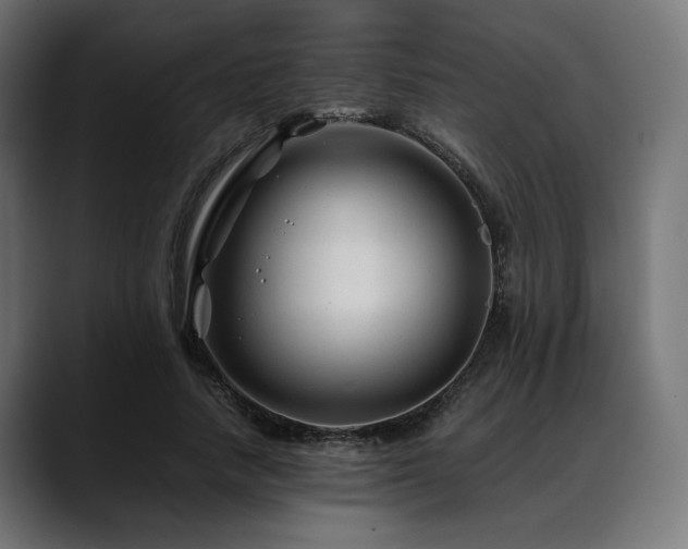 X0000088620738200705251241