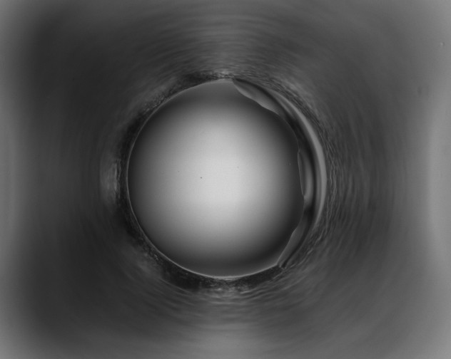 X0000088620740200705251241