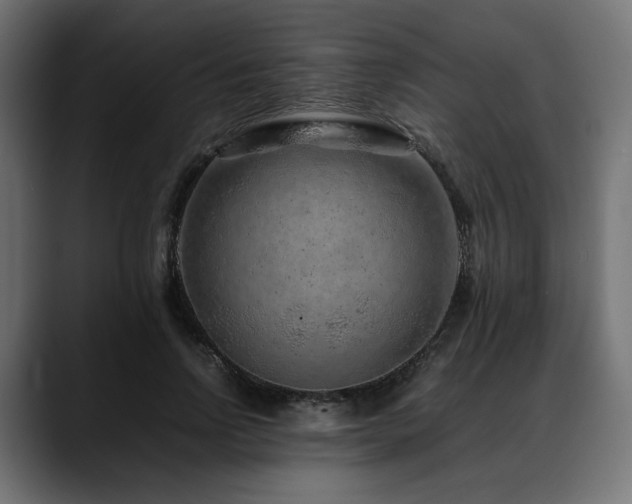 X0000088620742200705251241