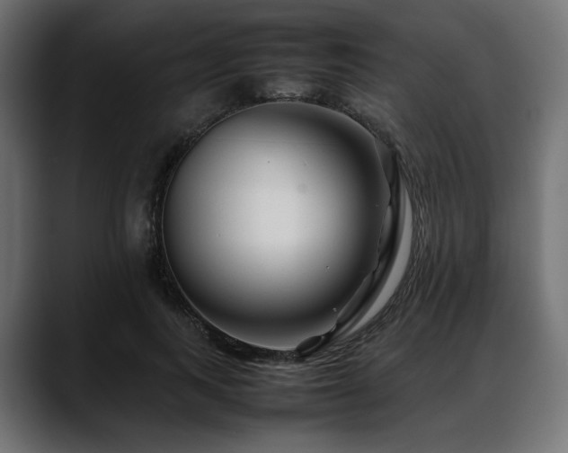 X0000088620743200705251241