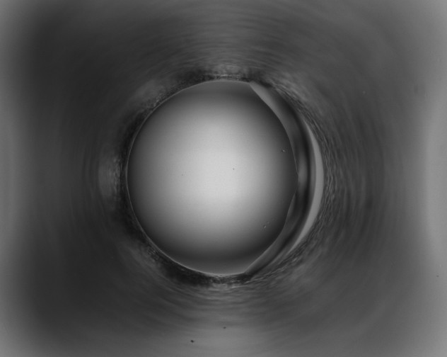 X0000088620744200705251241