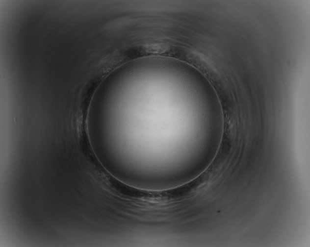 X0000088620745200705251241