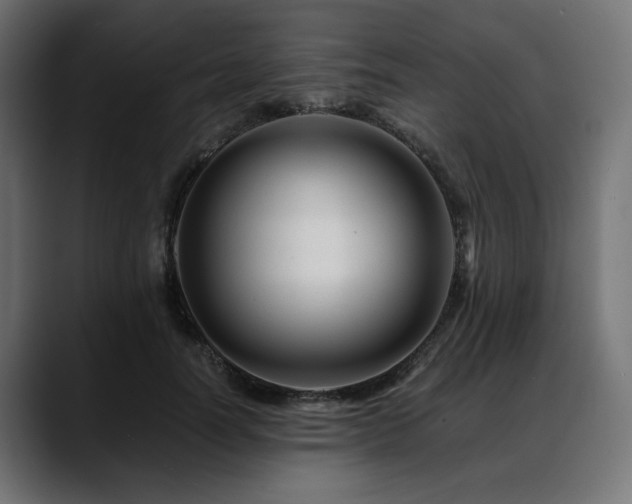 X0000088620746200705251241