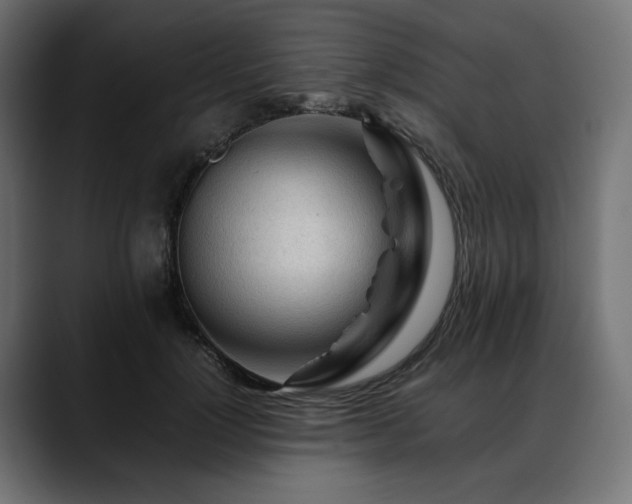 X0000088620748200705251241