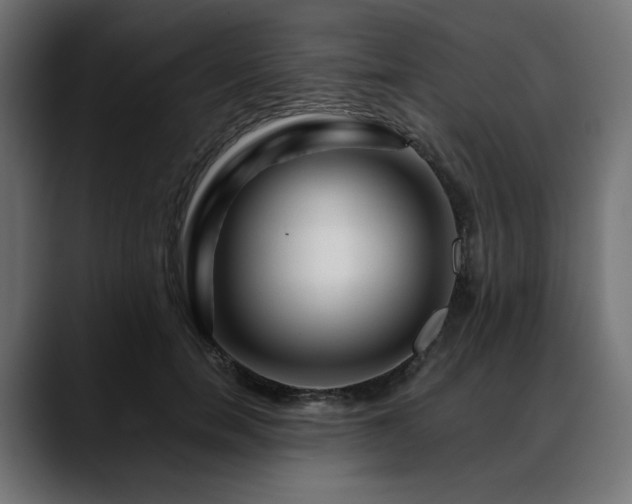 X0000088620750200705251241
