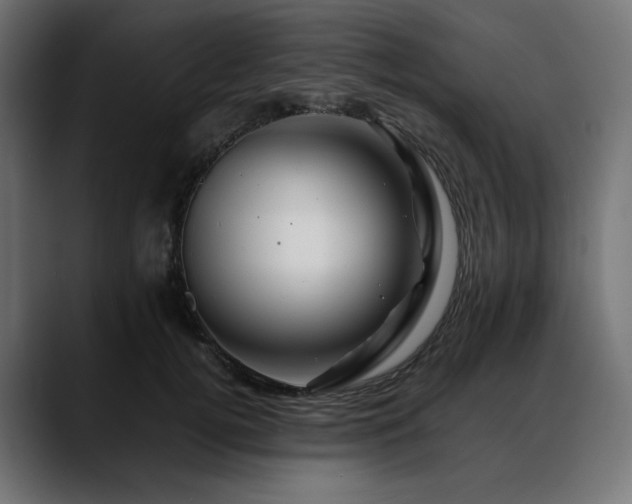 X0000088620752200705251241