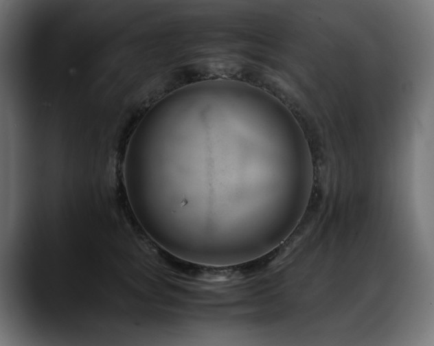 X0000088620757200705251241