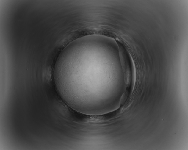 X0000088620758200705251241