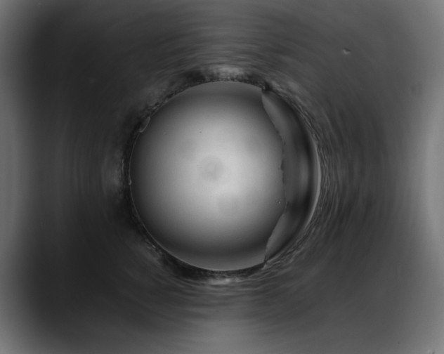 X0000088620760200705251241