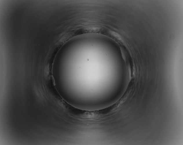 X0000088620764200705251241