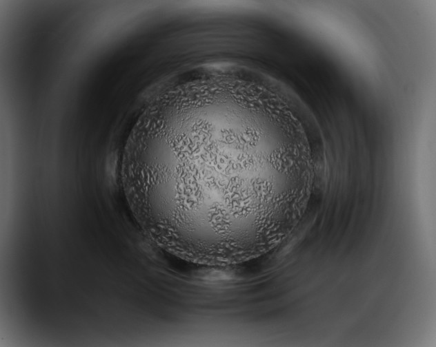 X0000088620765200705251241