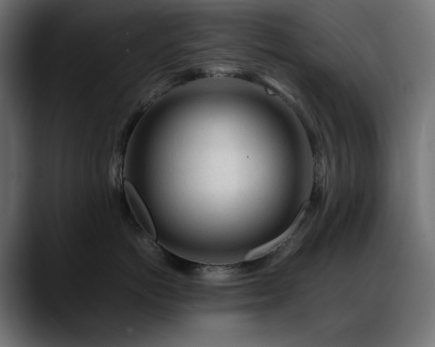 X0000088620766200705251241
