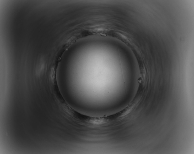 X0000088620767200705251241