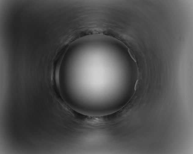 X0000088620768200705251241