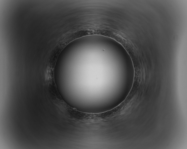 X0000088620770200705251240