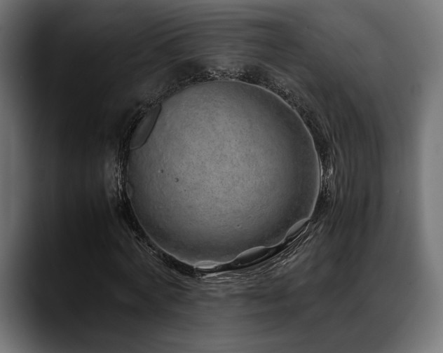 X0000088620772200705251240