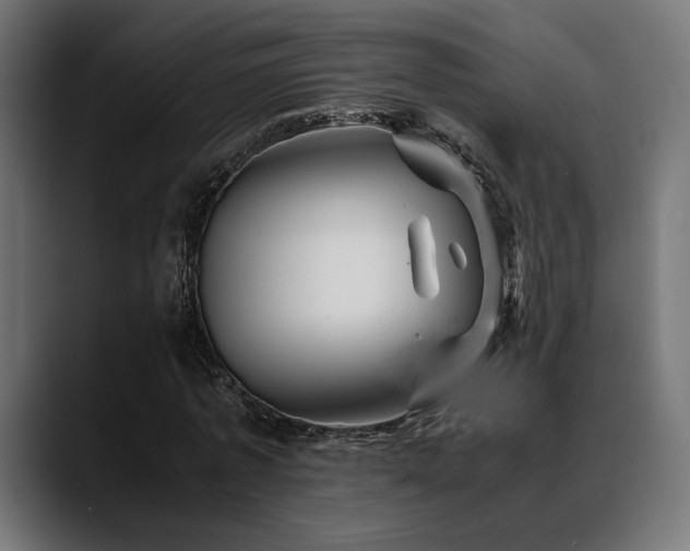 X0000088620773200705251240