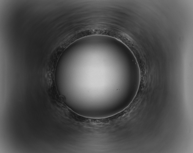 X0000088620774200705251240