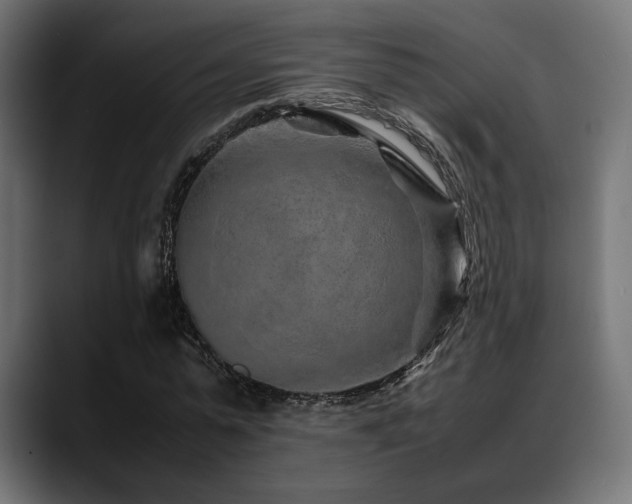 X0000088620775200705251240