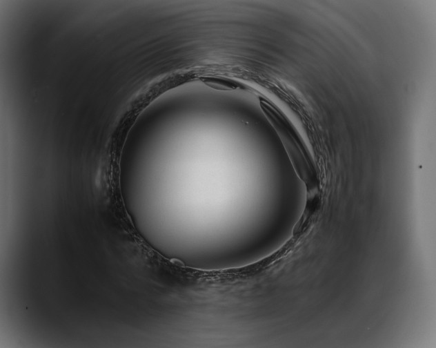 X0000088620776200705251240