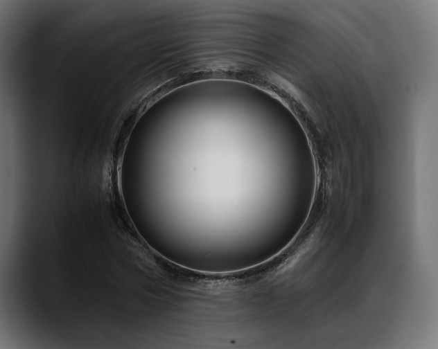 X0000088620778200705251240