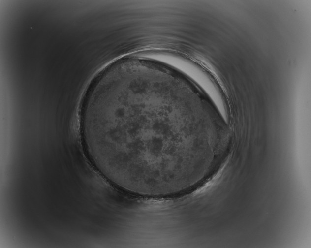X0000088620779200705251240