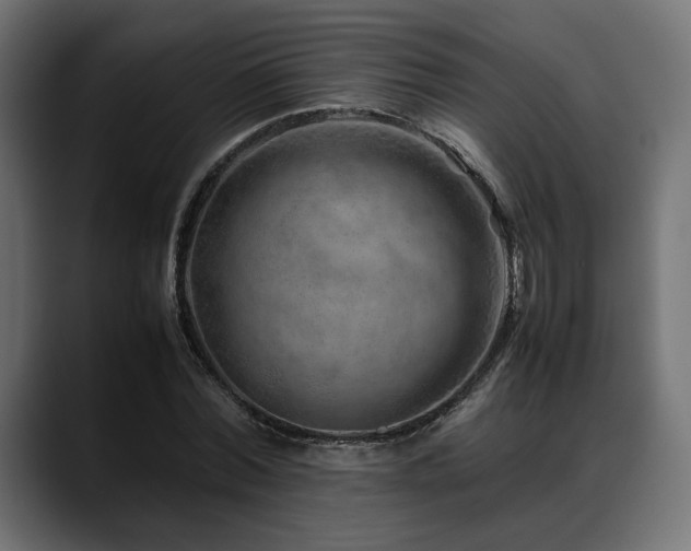 X0000088620780200705251240